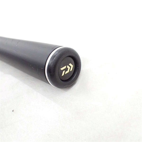 銀影ＭＴ 大鮎１００Ｍ